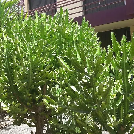 Beautiful Hercules Appartamento *