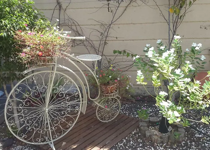 Beautiful Hercules *