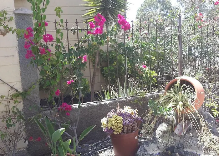 Beautiful Hercules Costa del Silencio