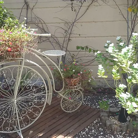 Beautiful Hercules *