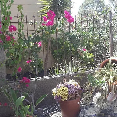 Beautiful Hercules Costa Del Silencio