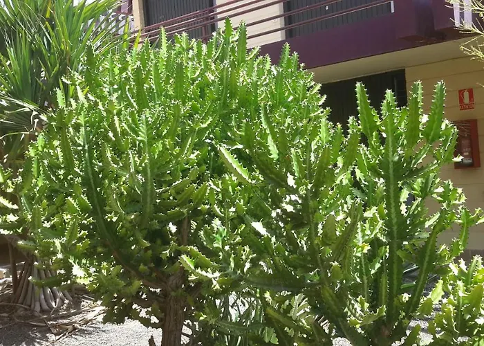 Beautiful Hercules Apartman *